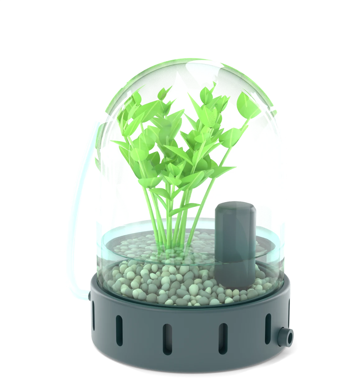 The Bubble: a clear dome with micro herbs growing inside, on a printed base