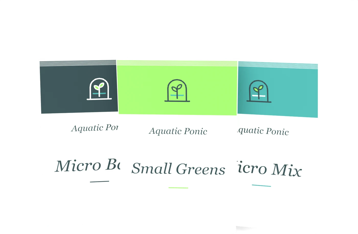 Seed Set